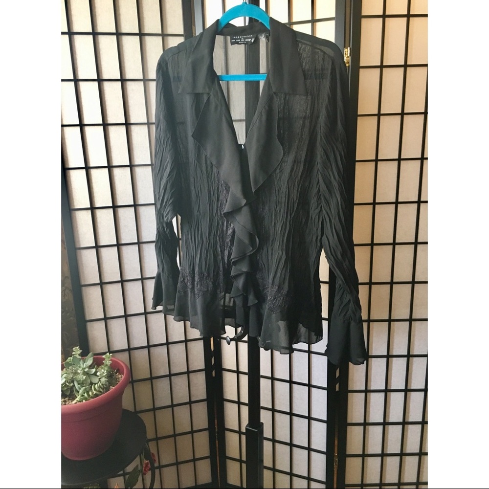 Long Sleeve Sheer Ruffle Blouse